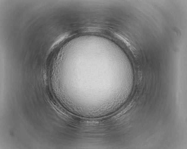 X0000115641403200912011452