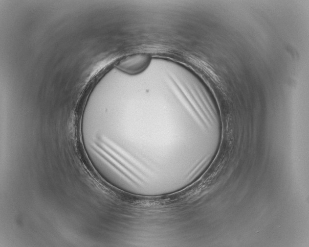 X0000115641404200912011452