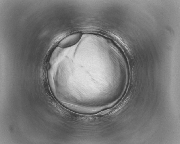 X0000115641405200912011452