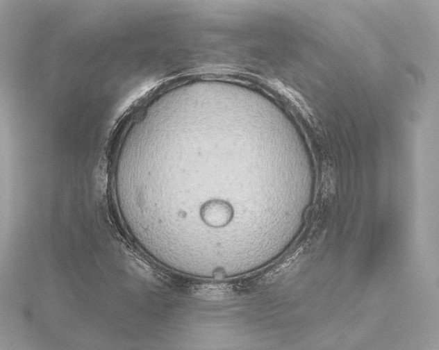 X0000115641406200912011452