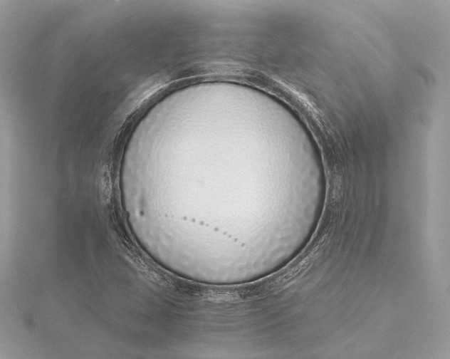 X0000115641407200912011452