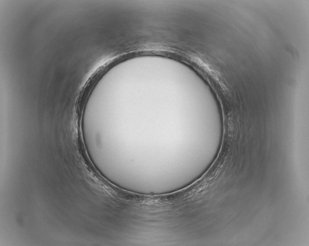 X0000115641408200912011452