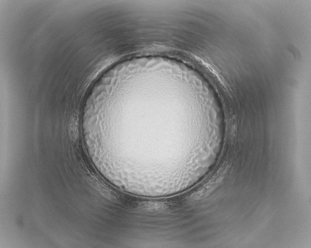 X0000115641409200912011452