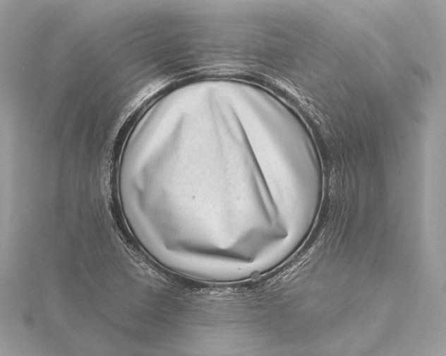 X0000115641410200912011452