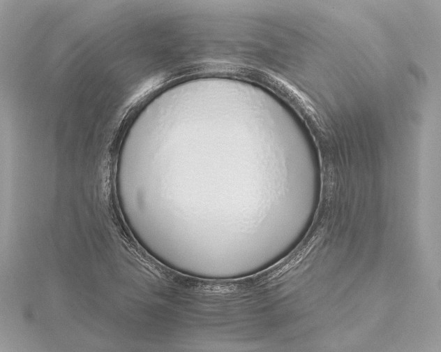 X0000115641411200912011452