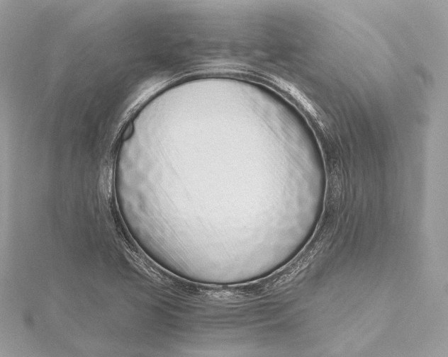 X0000115641413200912011452