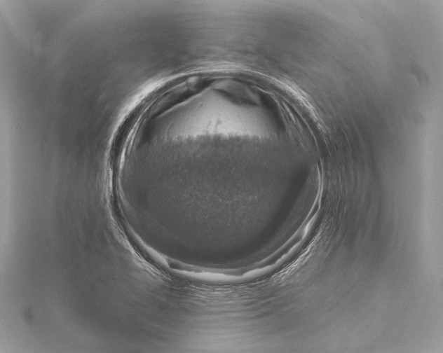 X0000115641414200912011452