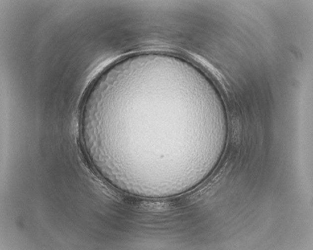 X0000115641415200912011452