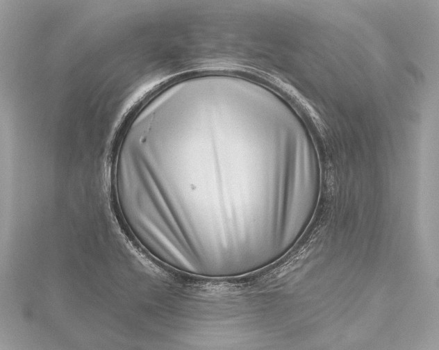 X0000115641416200912011452