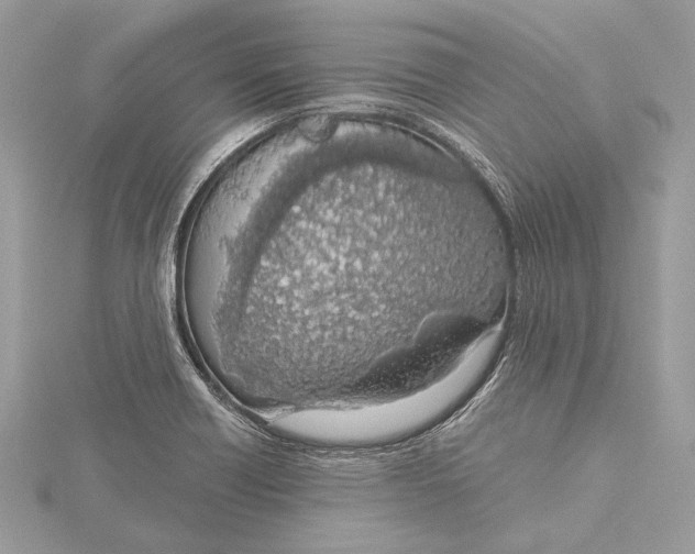 X0000115641418200912011452