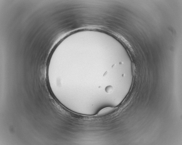 X0000115641420200912011452