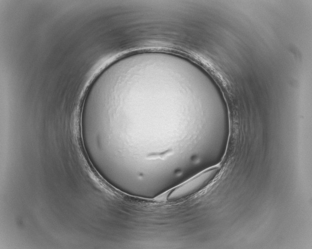 X0000115641421200912011452