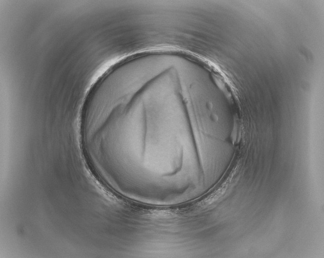 X0000115641422200912011452