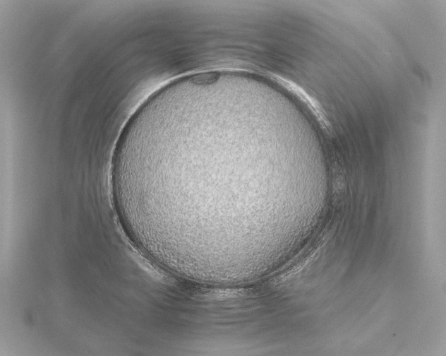 X0000115641423200912011452