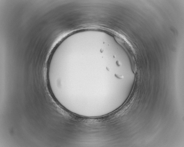 X0000115641424200912011452