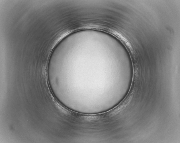 X0000115641425200912011452