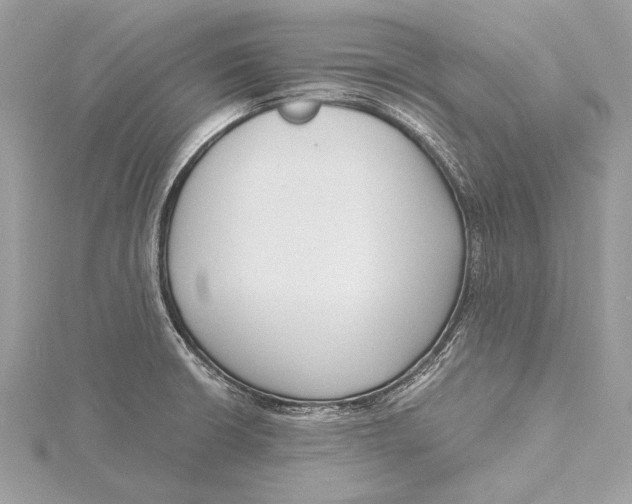 X0000115641426200912011452