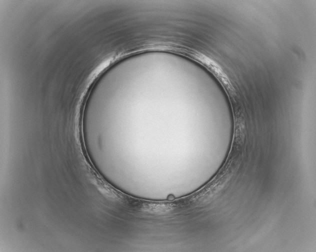 X0000115641427200912011452