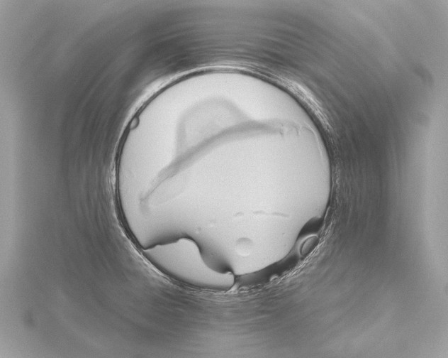 X0000115641428200912011452