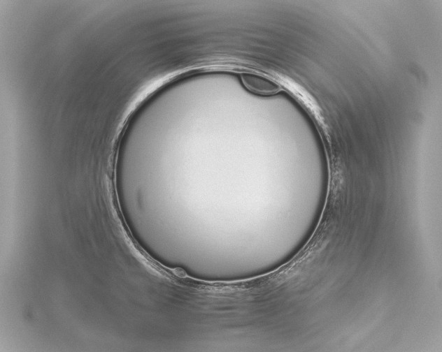 X0000115641429200912011452