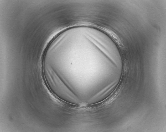 X0000115641430200912011452