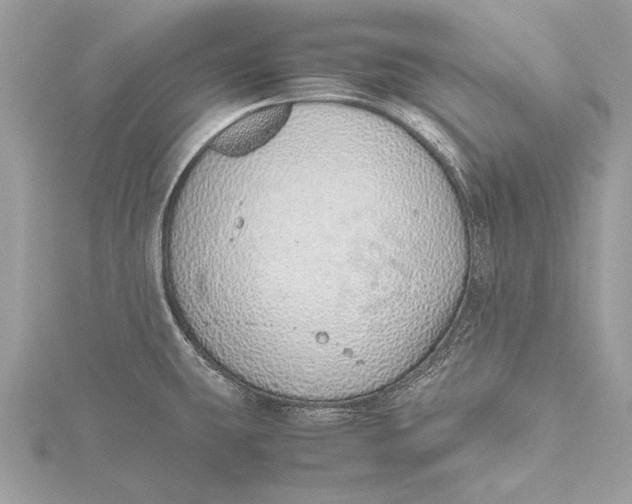 X0000115641431200912011452