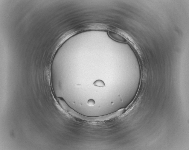 X0000115641433200912011452