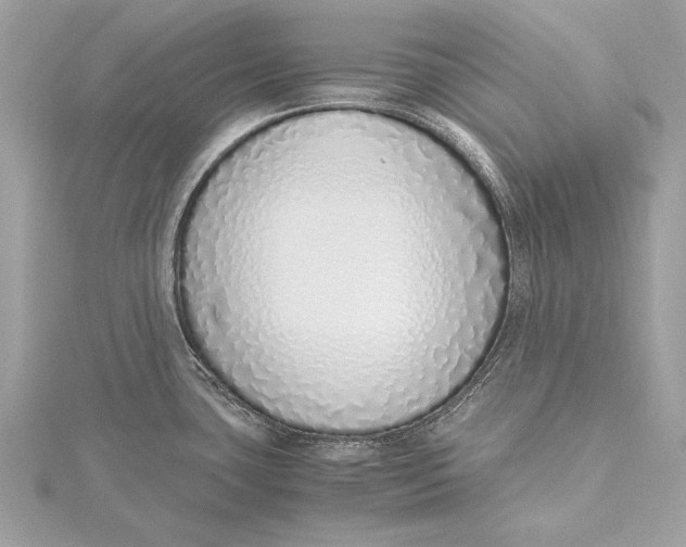 X0000115641435200912011452