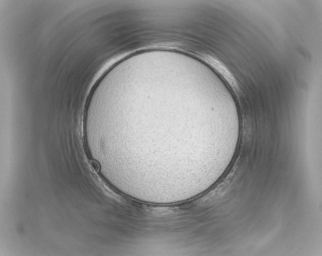 X0000115641436200912011452