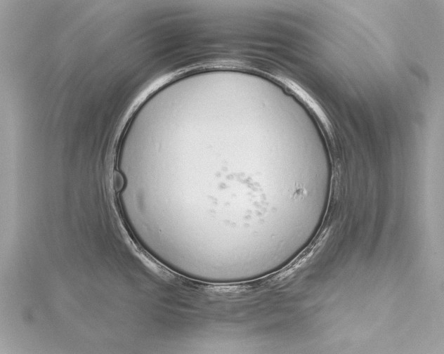 X0000115641437200912011452