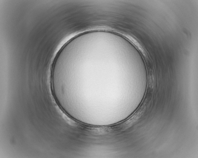 X0000115641438200912011452