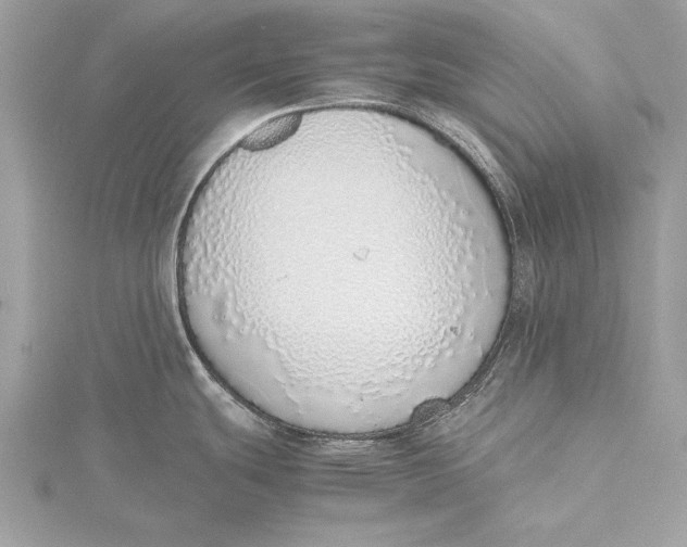 X0000115641439200912011452