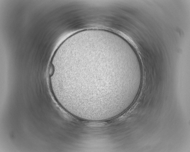 X0000115641440200912011452