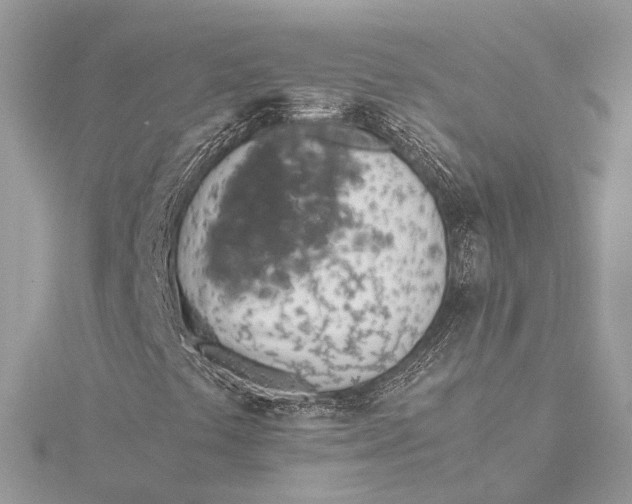 X0000115641441200912011451