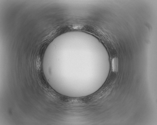 X0000115641443200912011451