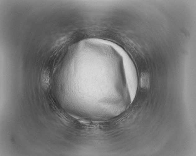 X0000115641444200912011451