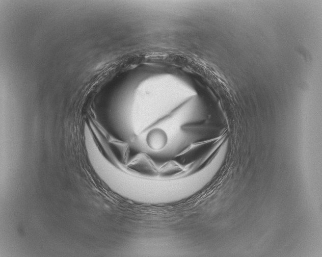 X0000115641445200912011451