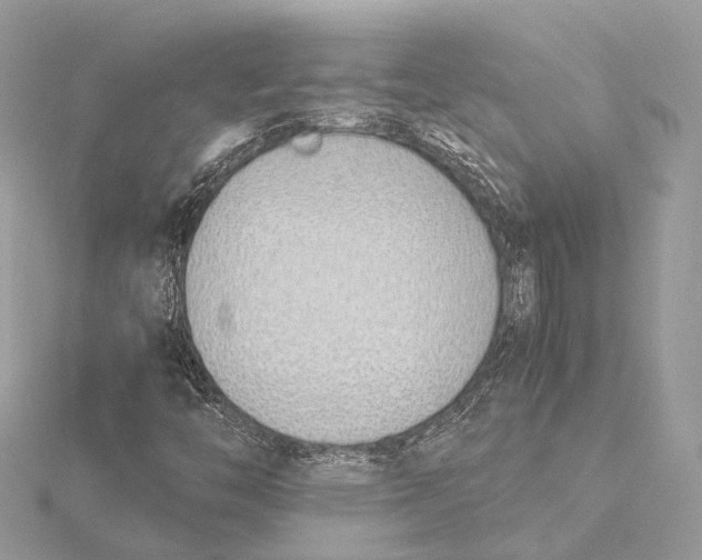 X0000115641446200912011451