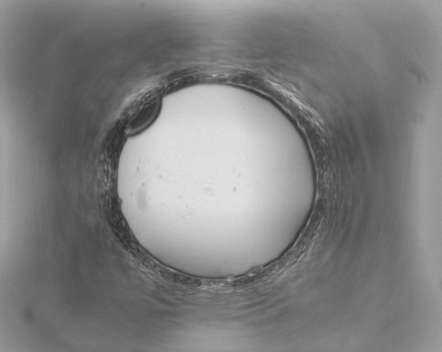 X0000115641447200912011451