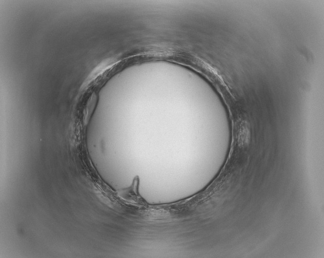 X0000115641448200912011451