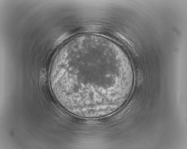 X0000115641449200912011451