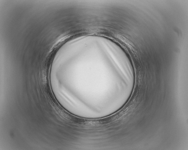 X0000115641451200912011451