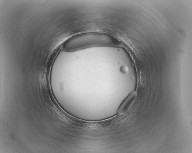 X0000115641452200912011451