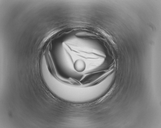 X0000115641453200912011451