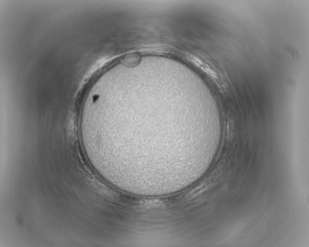 X0000115641454200912011451