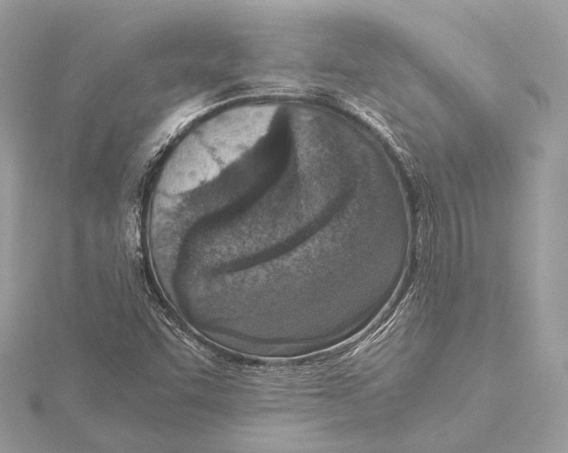 X0000115641455200912011451