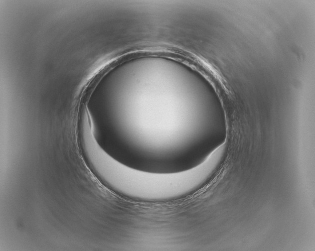 X0000115641456200912011451