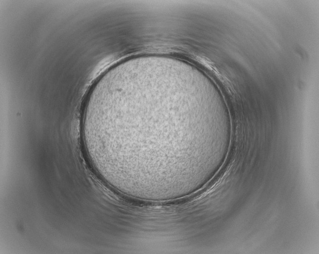 X0000115641459200912011451