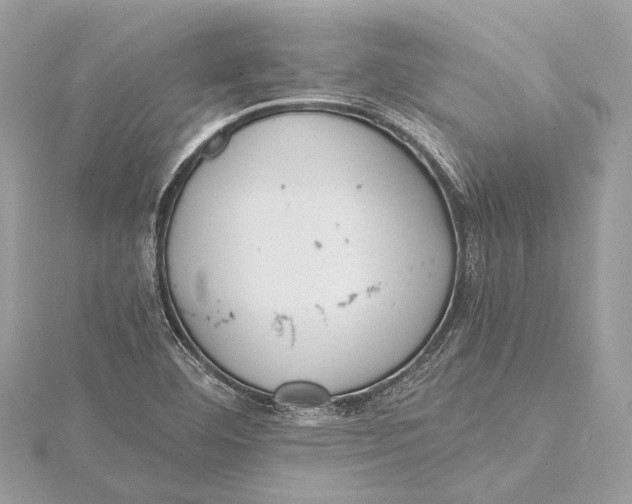 X0000115641460200912011451