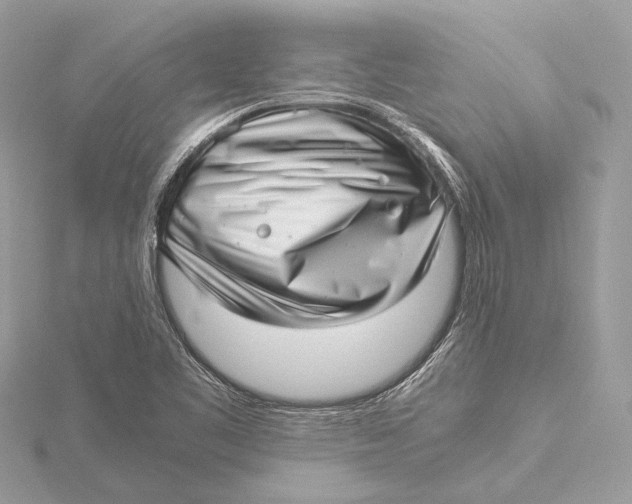 X0000115641461200912011451